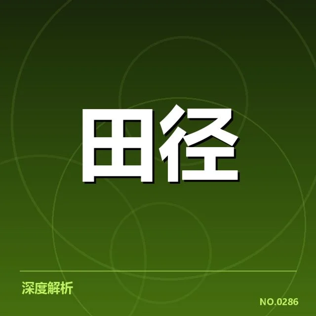 投掷项目参赛选手与赛程安排情况